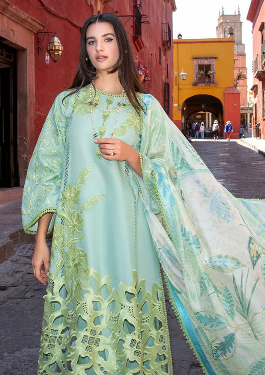 Mushq Odyssey Lawn'26