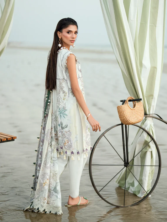 Jade Needle Wonder'26