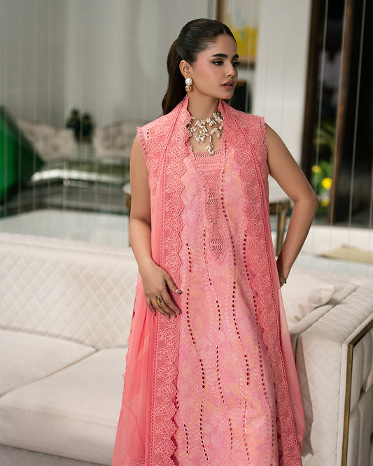 Rang Rasiya Carnation'26