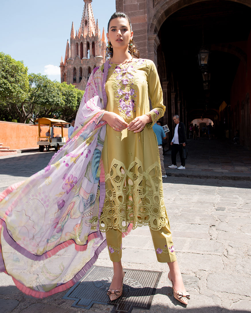 Mushq Odyssey Lawn'26