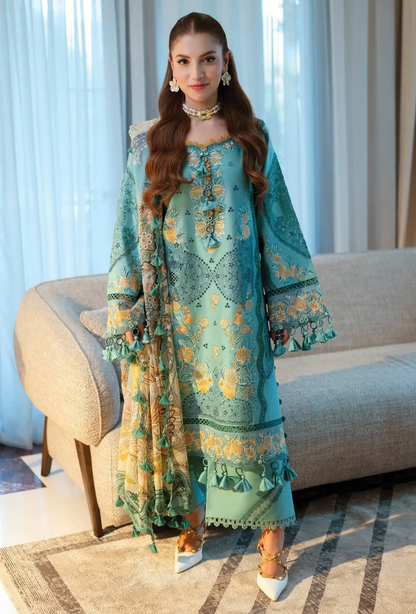 Jade Ombre Starlet'26