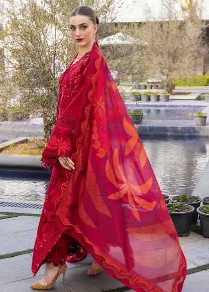 Crimson Flow Lawn'26