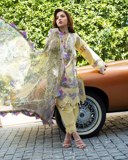 Jade Ombre Starlet'26
