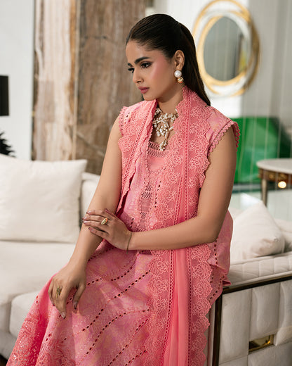 Rang Rasiya Carnation'26