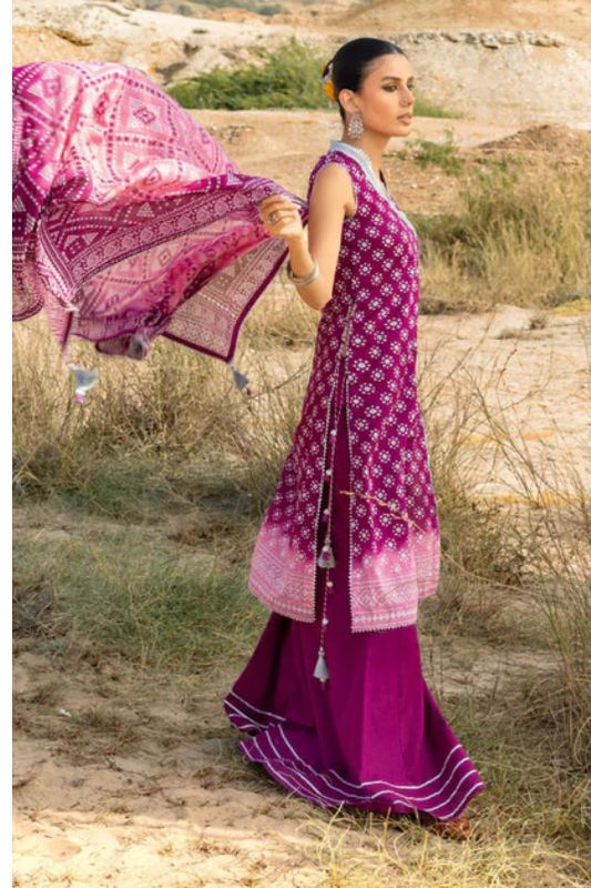 Chunri Collection'26