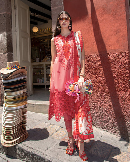 Mushq Odyssey Lawn'26