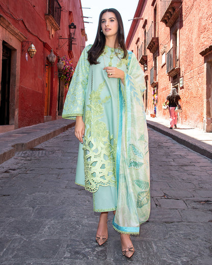 Mushq Odyssey Lawn'26